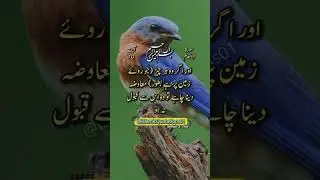 Surah Al anaam #quranstudies