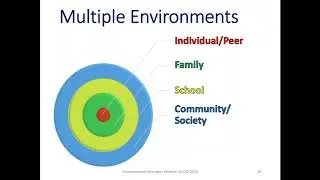 Environmental Strategies - January 2019