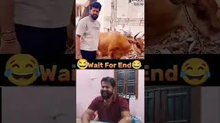 reaction video tamil🤣🤣🤣🤣#shorts#raabi, #reactionvideo, #trollvideo