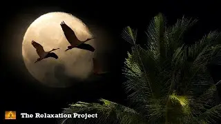 Full Moon Meditation, Stress Relief, Deep Soothing Sleep
