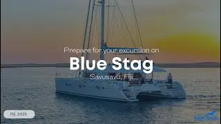 Blue Stag Fiji April 2025