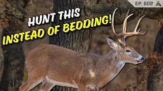 Try hunting this instead of his bed - Aggressive whitetail hunting tactics that WORK!