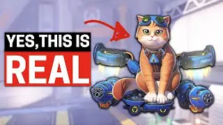 Overwatch 2 is Dropping the 2...Jetpack Cat & 10 New Heroes WTF!