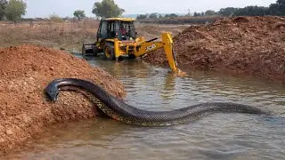 New JCB 3DX Eco in Mud Loading | Mahindra & New Holland Tractors with Trolley on Rough Tracks