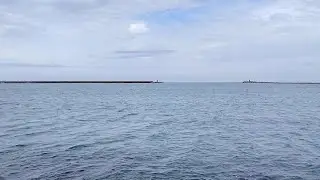 Hunting for predators in the Adriatic sea &ndash; No luck today!