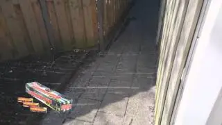 Grondbloem