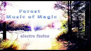 Forest Ambient Music of Magic  / Love Music / YOGA MUSIC / RELAX / LOVE /ANBIENT /  Electro Fusion