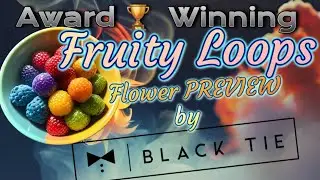 Fruity Loops - THCa Flower 🌼 PREVIEW from  Black Tie- Award winning flower-USE LINK IN DESCRIPTION!