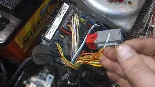 Peugeot 206 не заводится