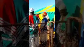 Mapostola a vaal