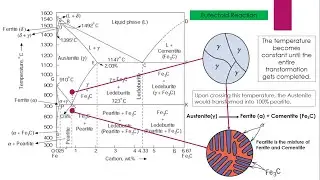 Eutectoid Reaction |Iron Cementite Phase Diagram Part 2| Heat Treatment Lecture1| Invariant Reaction