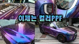이제는 전체 랩핑? 컬러 PPF 팰리세이드 카멜레온 컬러PPF 블루스톤 마브(Marve)