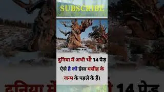 How many  trees are there before the birth of Jesus Christ // #tree #birth #jesus #christmas #gk #sh
