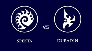 Starcraft 2 - WoL - BBroSpekta vs. Duradin - ZvP #26