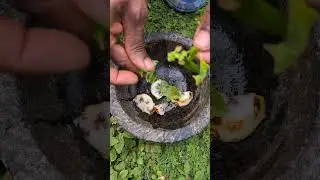 He Won&rsquo;t Forget You Gave Him This 💥 | Natural Male Vitality Remedy