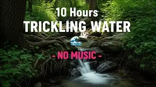 10 Hours  Sleep Better with Water Trickles Gentle Flowing Stream | No Distractions