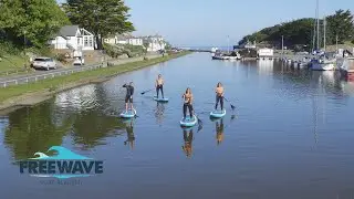 Stand Up Paddle Boarding (SUP) in Bude, Cornwall - Freewave Surf Academy