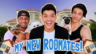 WE'RE MOVING IN TOGETHER!