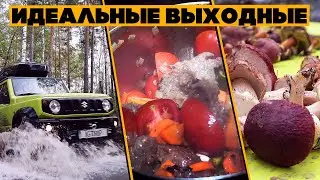 Готовим на костре, ночуем в лесу, собираем грибы - идеальные выходные с друзьями!