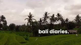 bali diaries – Abenteuer mit dem Roller, Silvester in Ubud & Babyschildkröten  🌴🐒 | somebodysart