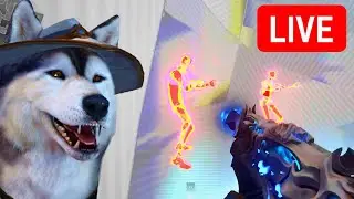 corner cage cypher trick husky dog valorant radiant livestream - VALORANT