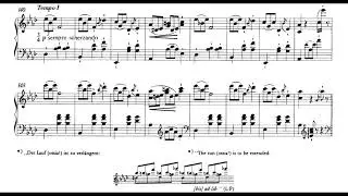 Liszt &ndash; Valse Impromptu, S213 (Filipec)