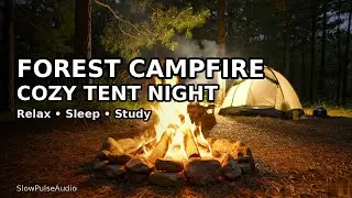 Forest Campfire Sounds + Cozy Tent at Night | Sleep, Relax, Study