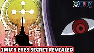 Im-sama Mysterious Eyes EXPLAINED! | Afterlife Theory | One Piece Analysis