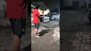 Buffy Fish Owl Skill Fly to the Fist ( FTTF) #owl #burunghantu #birds #buffyfishowl