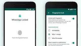 2024 Guide: Set Up WhatsApp Fingerprint Lock on Android EASY