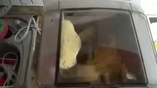 Nouilles fra&icirc;ches 