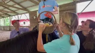 Adaptive Riding Video