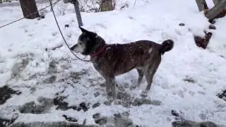 なごり雪...か？2 クリ
