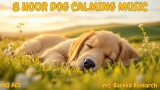 8 Hours Dog Deep Sleep Protocol | Queen's University Research | 60 BPM