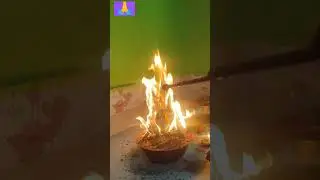 Puja and yangya at home. #shorts #new #video #explore #asmr #viral #trend #subscribe #like #love