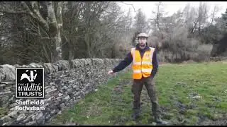 Mini expert video   Dry Stone Walls