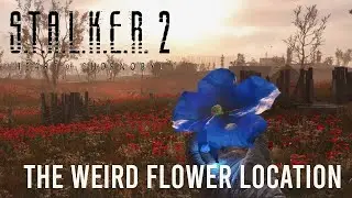 Stalker 2 Weird Flower Holy relic Locations