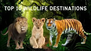 TOP 10 WILDLIFE DESTINATIONS.