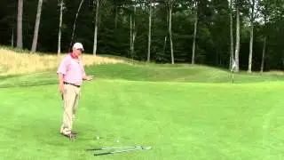 Elevated Green - Tight Lie