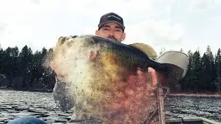 2015 Bass Fishing Highlights [Hi-Def]
