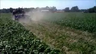 Bauman Sweet Potato Vine Puller