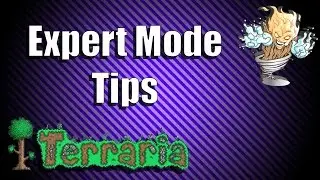 Terraria Expert Mode Tips - Terraria Top 5