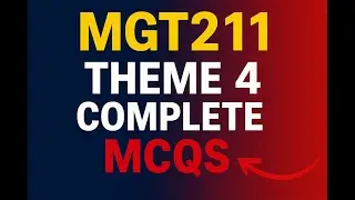 Mgt 211 theme 4 mcqs