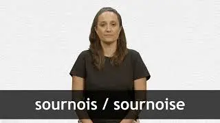 How to pronounce SOURNOIS / SOURNOISE in French