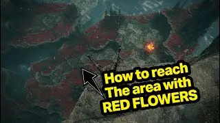 How to reach the area with RED FLOWERS? Shadow of Erdtree/Dragon Communion/Charo's Hidden Grave