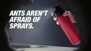 TERRO Liquid Ant Bait | Smarter Than Ants