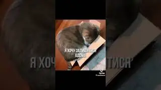 тик ток канал #cara linne озвучка та дубляж