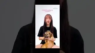 Katseye posing as puppies with Buzzfeed 🐶💗 #katseye #buzzfeed