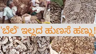 'ಬೆಲೆ'ಇಲ್ಲದ ಹುಣಸೆ ಹಣ್ಣು/Tamarind price issue/how much a quintal of Tamarind fruit coasts#nativenest