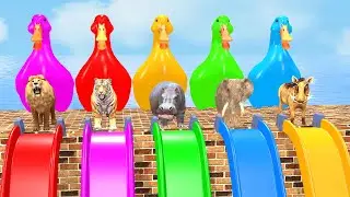 Long Slide Game With Cow Elephant Gorilla Hippopotamus Tiger 3d Animal Game Funny 3d Animals